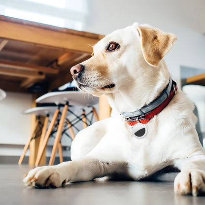 LOCALIZADOR UBICA PRO